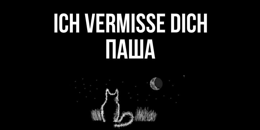 Открытка на каждый день с именем, Паша Ich vermisse dich кот Прикольная открытка с пожеланием онлайн скачать бесплатно 