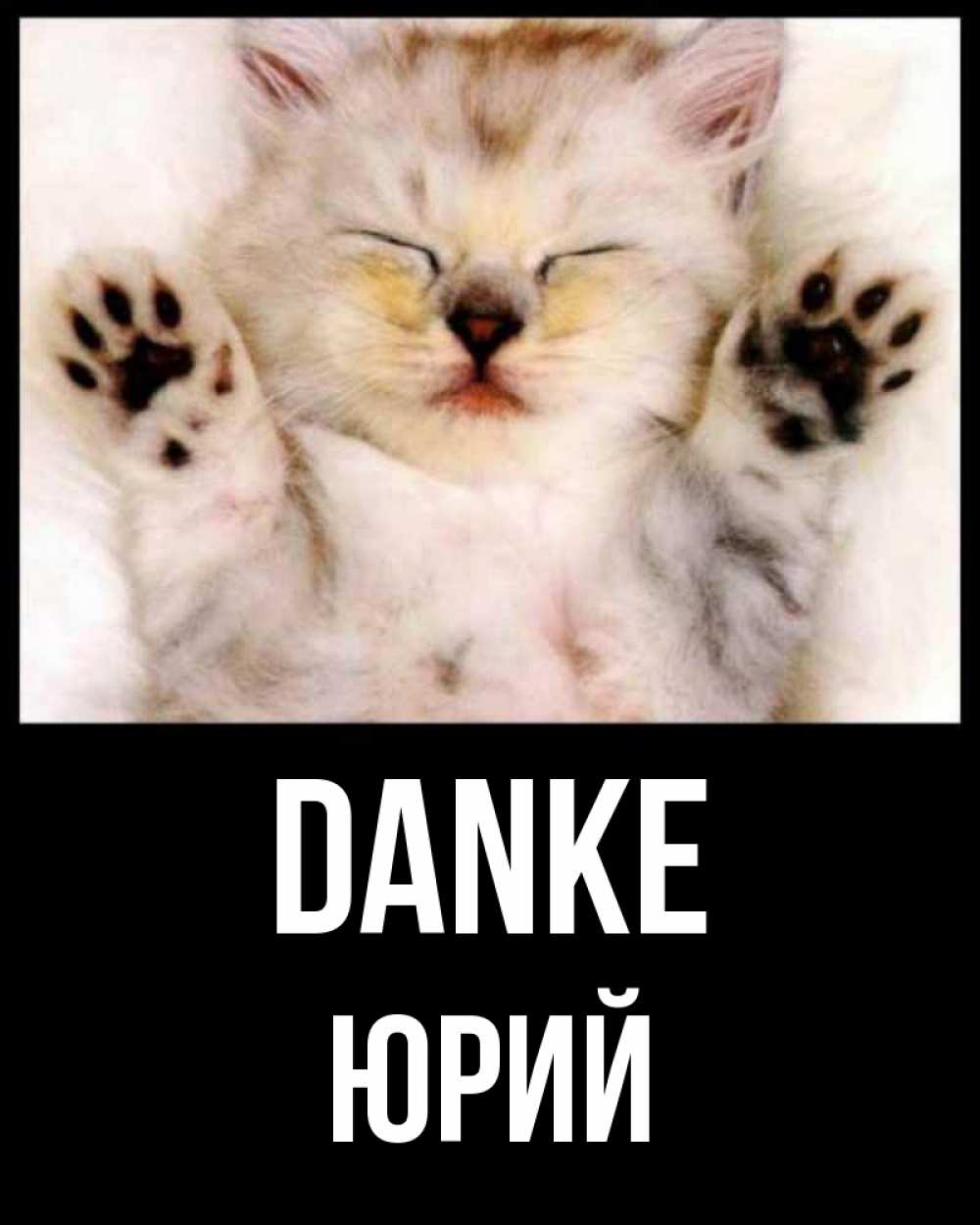 Открытка на каждый день с именем, Юрий Danke маленький котенок Прикольная открытка с пожеланием онлайн скачать бесплатно 