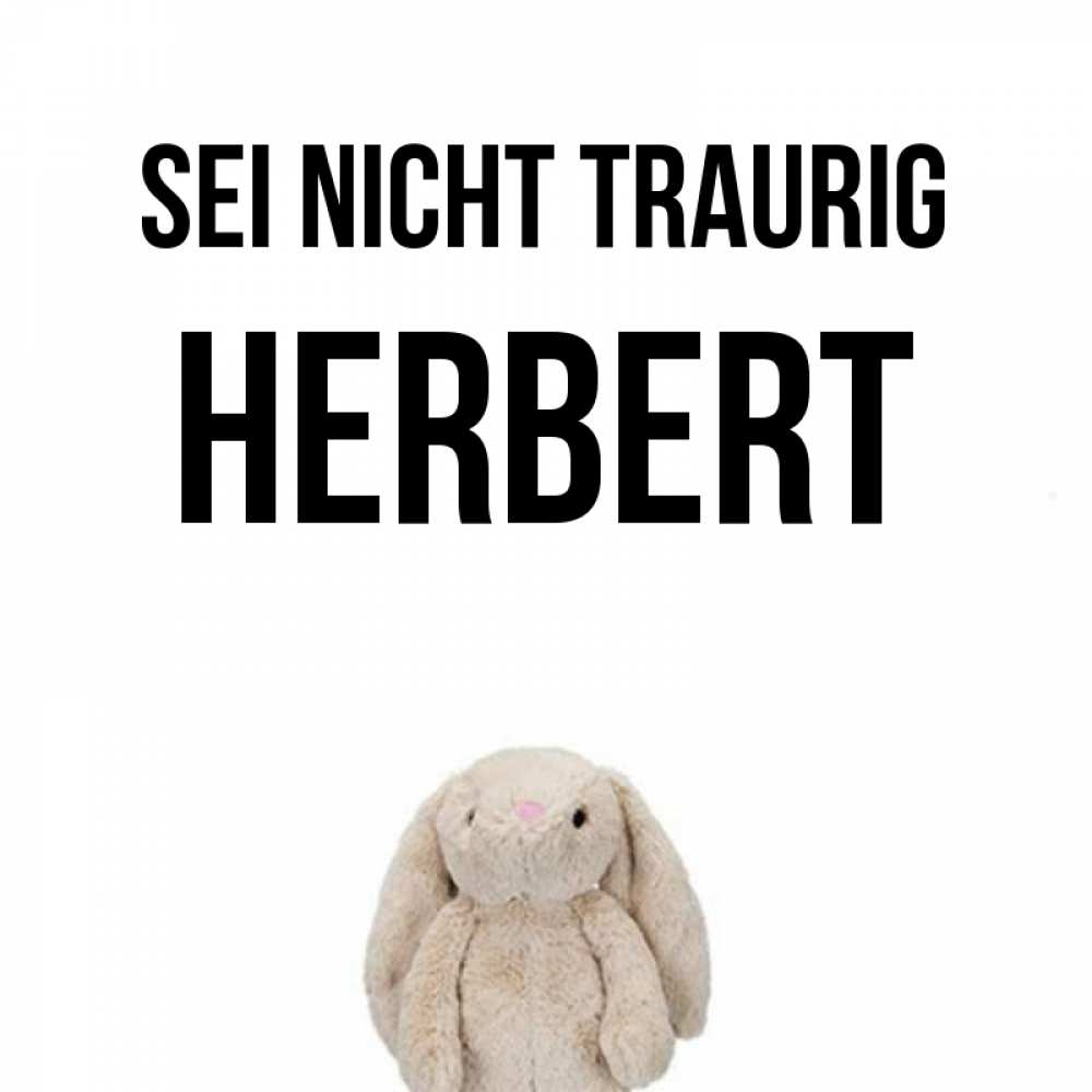 Открытка на каждый день с именем, Herbert Sei nicht traurig детская игрушка зайчика Прикольная открытка с пожеланием онлайн скачать бесплатно 