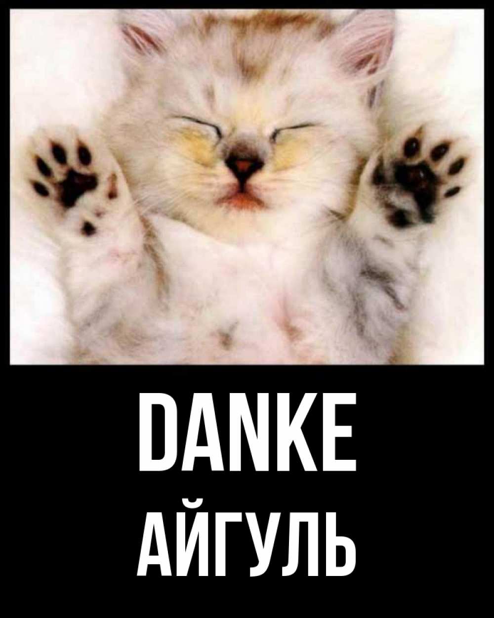 Открытка на каждый день с именем, Айгуль Danke маленький котенок Прикольная открытка с пожеланием онлайн скачать бесплатно 