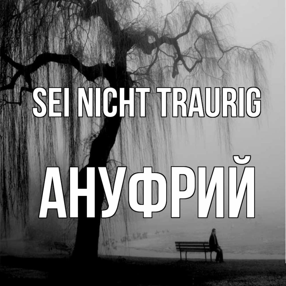 Открытка на каждый день с именем, Ануфрий Sei nicht traurig висящие ветки дерева и лавочка под деревом Прикольная открытка с пожеланием онлайн скачать бесплатно 