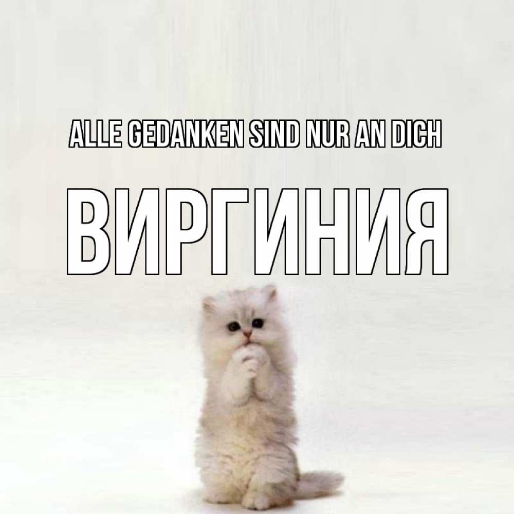 Открытка на каждый день с именем, Виргиния Alle Gedanken sind nur an dich кот стоит на задних лапах Прикольная открытка с пожеланием онлайн скачать бесплатно 