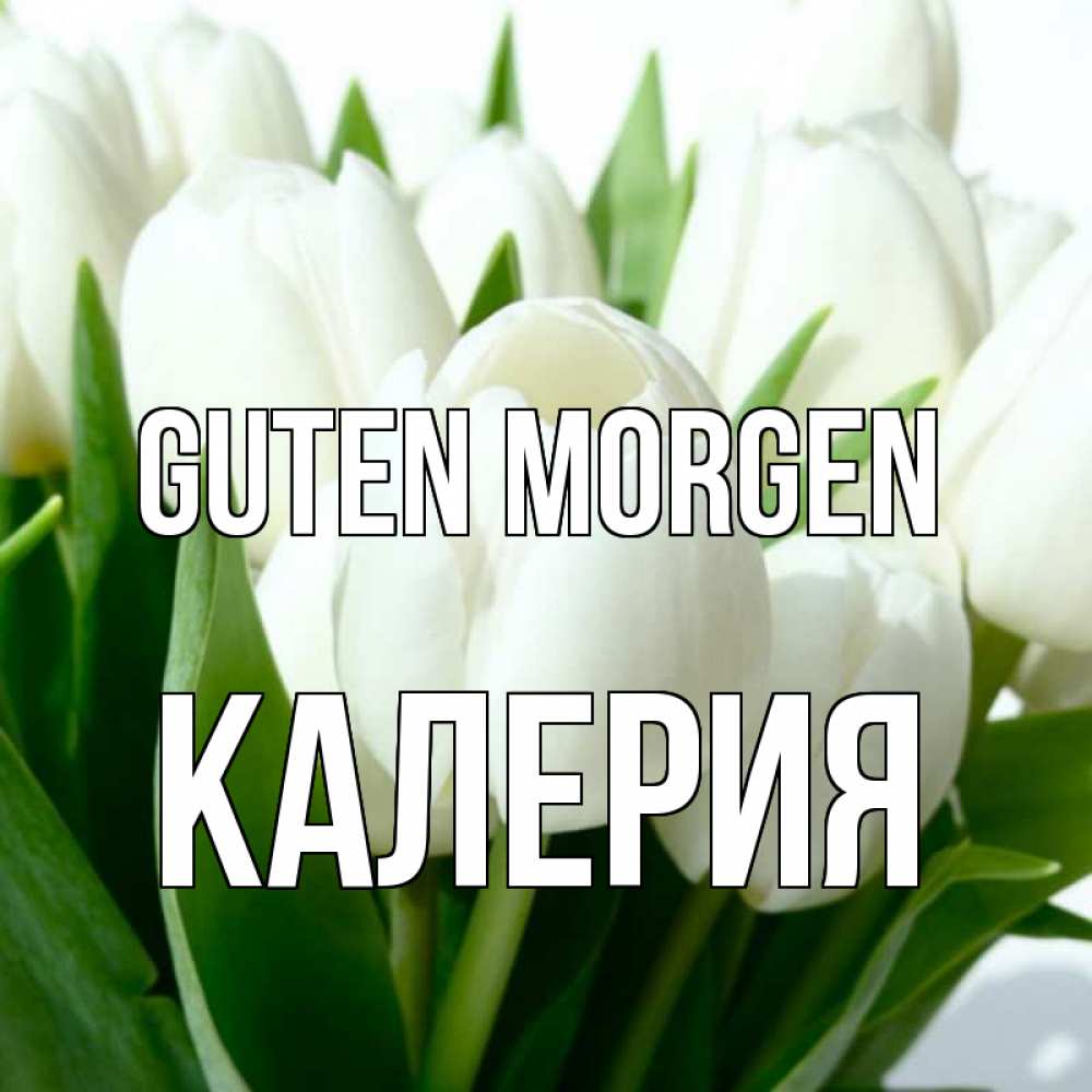 Открытка на каждый день с именем, Калерия Guten Morgen открытки на каждый день по именам Прикольная открытка с пожеланием онлайн скачать бесплатно 