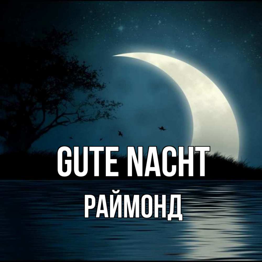 Открытка на каждый день с именем, Раймонд Gute Nacht вода Прикольная открытка с пожеланием онлайн скачать бесплатно 