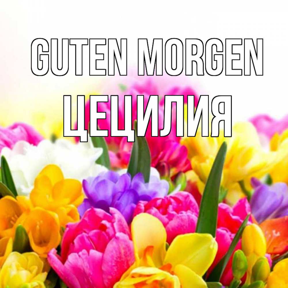 Открытка на каждый день с именем, Цецилия Guten Morgen создать открытку со свое подписью Прикольная открытка с пожеланием онлайн скачать бесплатно 