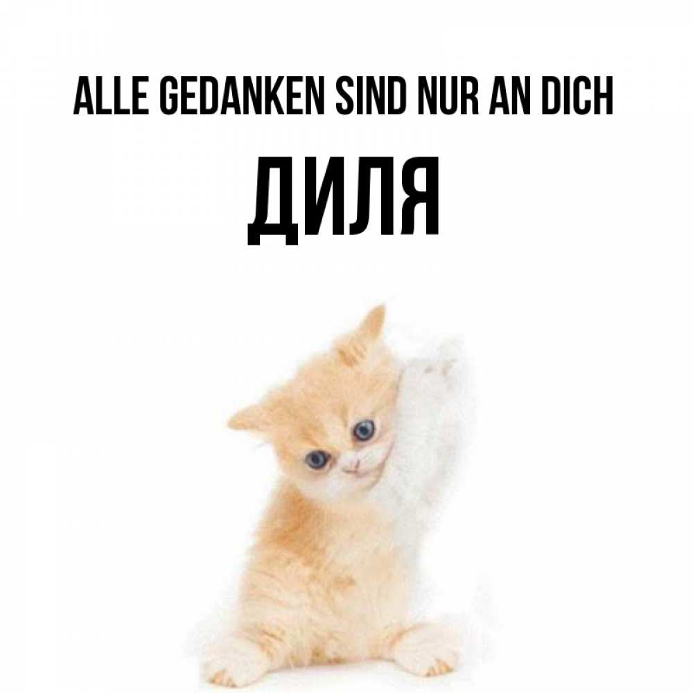 Открытка на каждый день с именем, Диля Alle Gedanken sind nur an dich зверушки и милота Прикольная открытка с пожеланием онлайн скачать бесплатно 