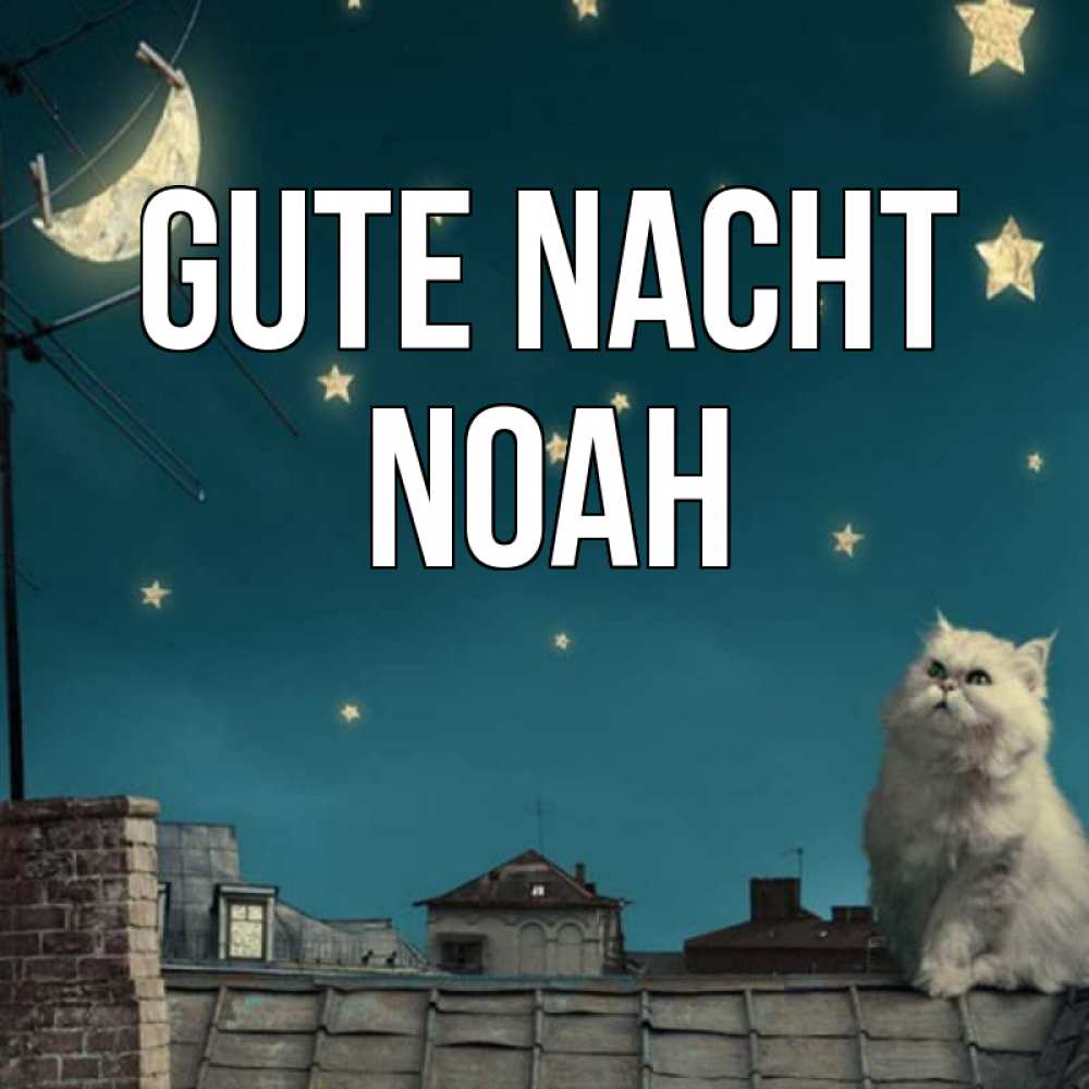 Открытка на каждый день с именем, Noah Gute Nacht белый кот сидит на крыше Прикольная открытка с пожеланием онлайн скачать бесплатно 