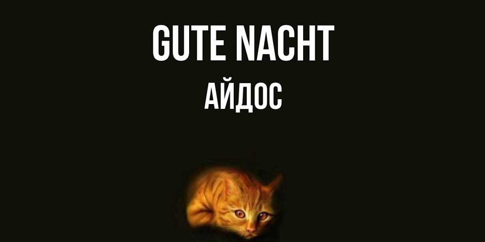 Открытка на каждый день с именем, Айдос Gute Nacht кот Прикольная открытка с пожеланием онлайн скачать бесплатно 