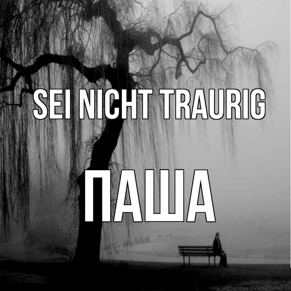 Открытка на каждый день с именем, Паша Sei nicht traurig висящие ветки дерева и лавочка под деревом Прикольная открытка с пожеланием онлайн скачать бесплатно 