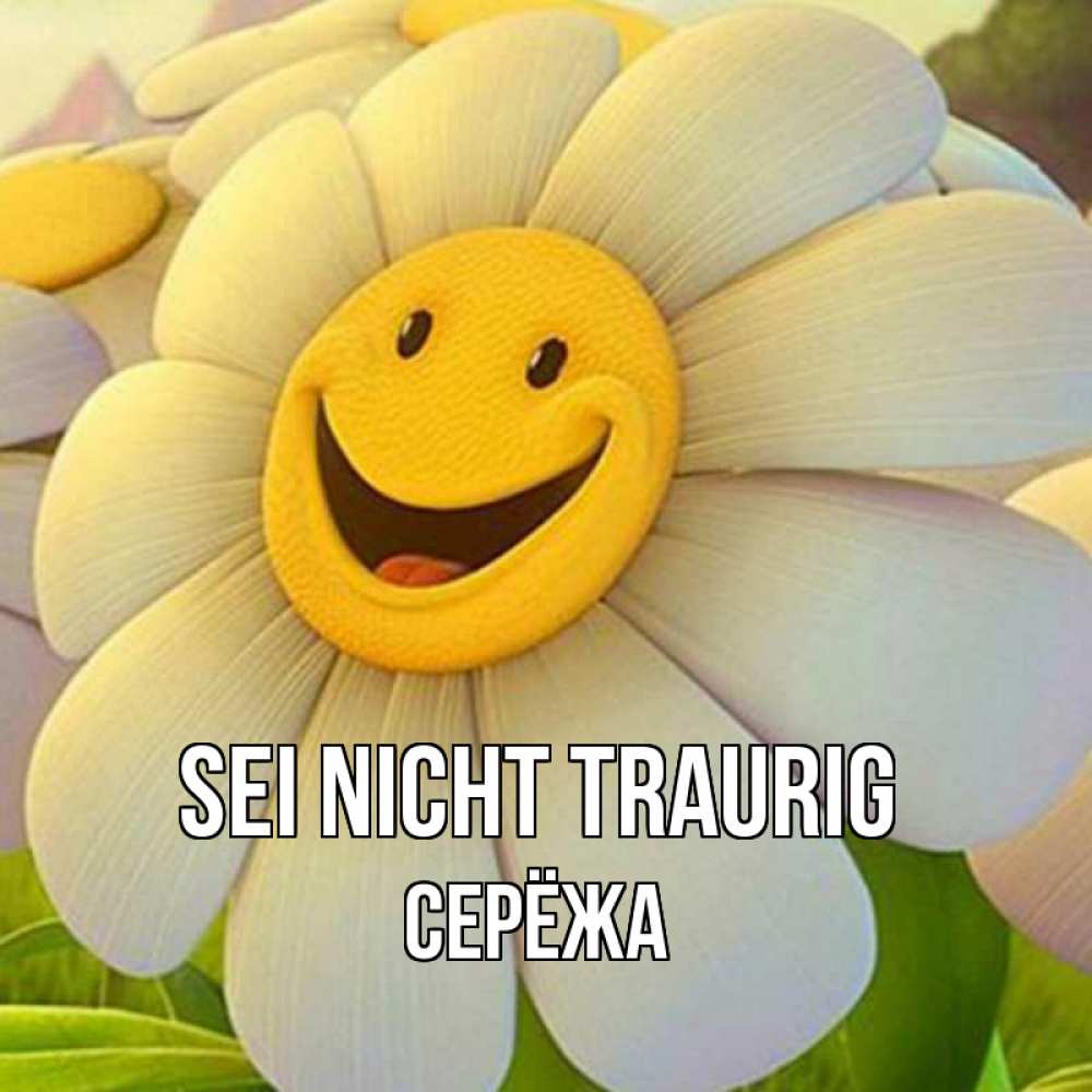 Открытка на каждый день с именем, Серёжа Sei nicht traurig огромная улыбающаяся ромашуща Прикольная открытка с пожеланием онлайн скачать бесплатно 