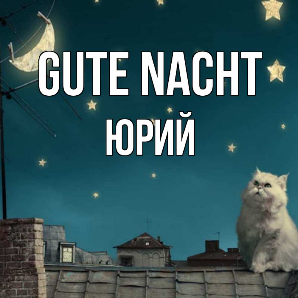 Открытка на каждый день с именем, Юрий Gute Nacht белый кот сидит на крыше Прикольная открытка с пожеланием онлайн скачать бесплатно 