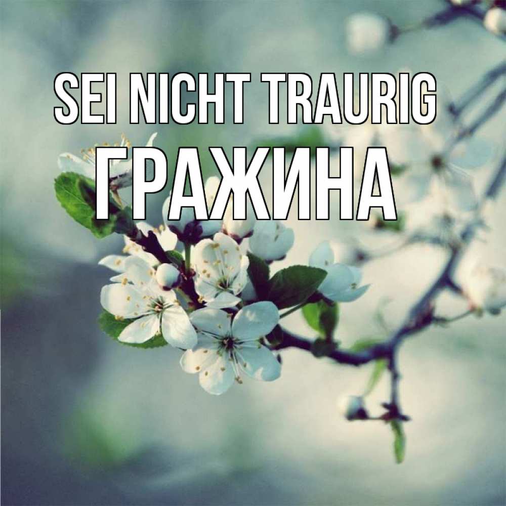 Открытка на каждый день с именем, Гражина Sei nicht traurig яблоня в цвету 1 Прикольная открытка с пожеланием онлайн скачать бесплатно 
