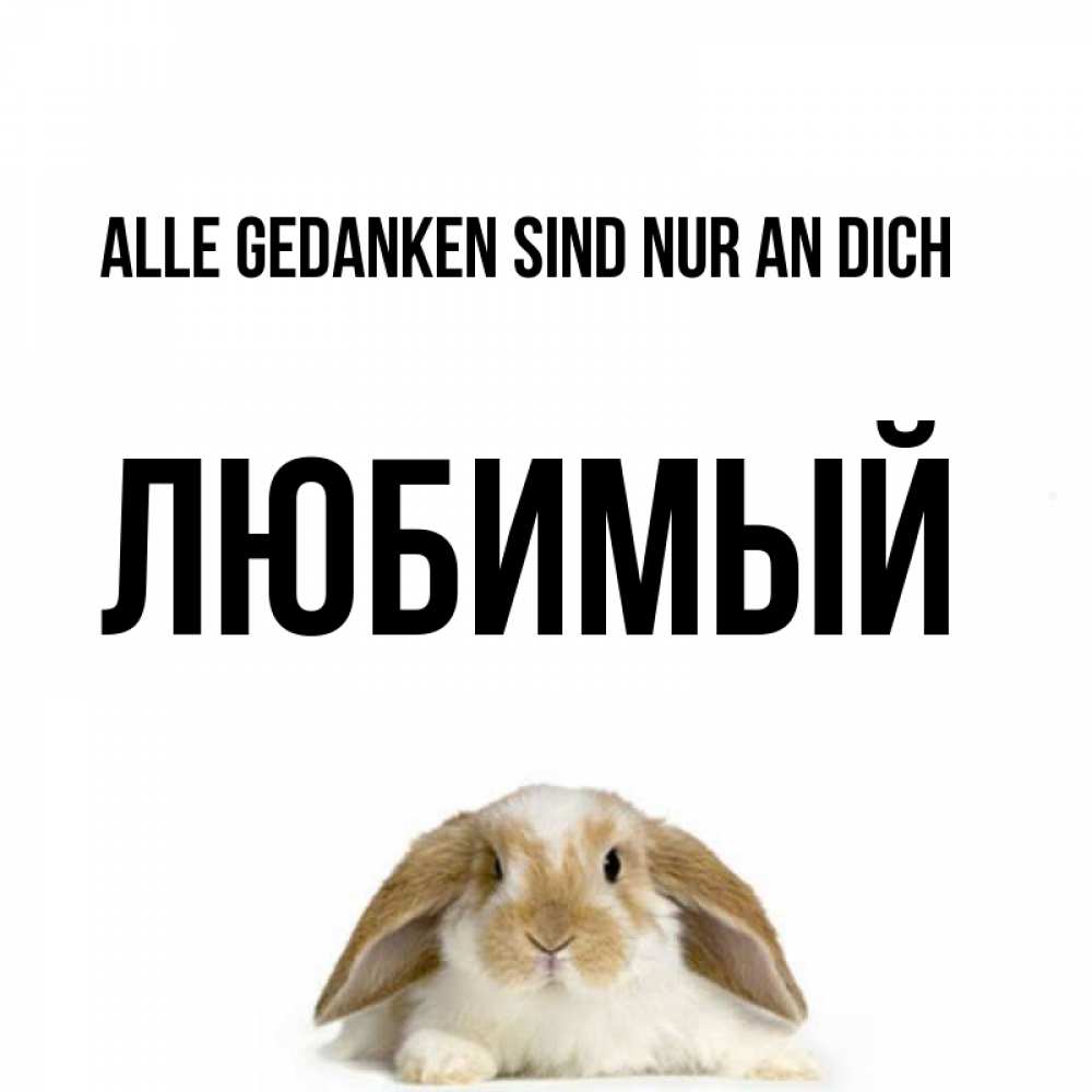 Открытка на каждый день с именем, Любимый Alle Gedanken sind nur an dich подписать своими руками онлайн Прикольная открытка с пожеланием онлайн скачать бесплатно 