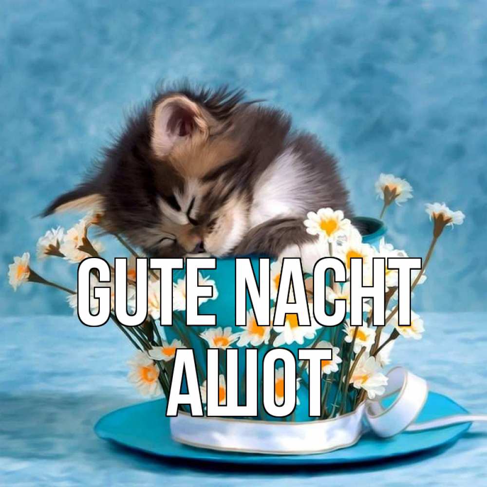 Открытка на каждый день с именем, Ашот Gute Nacht котенок спит в кружке с блюдцем Прикольная открытка с пожеланием онлайн скачать бесплатно 
