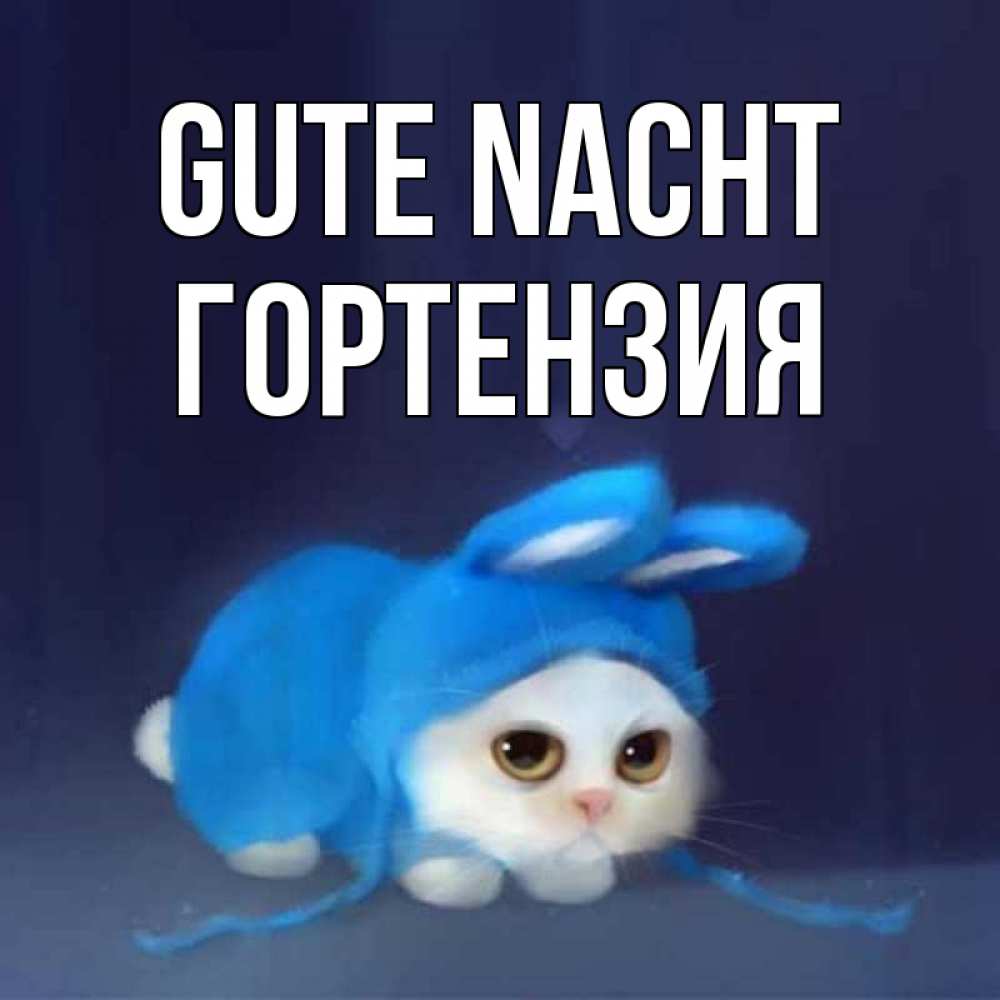 Открытка на каждый день с именем, Гортензия Gute Nacht кот в голубом костюме кролика с ушками Прикольная открытка с пожеланием онлайн скачать бесплатно 