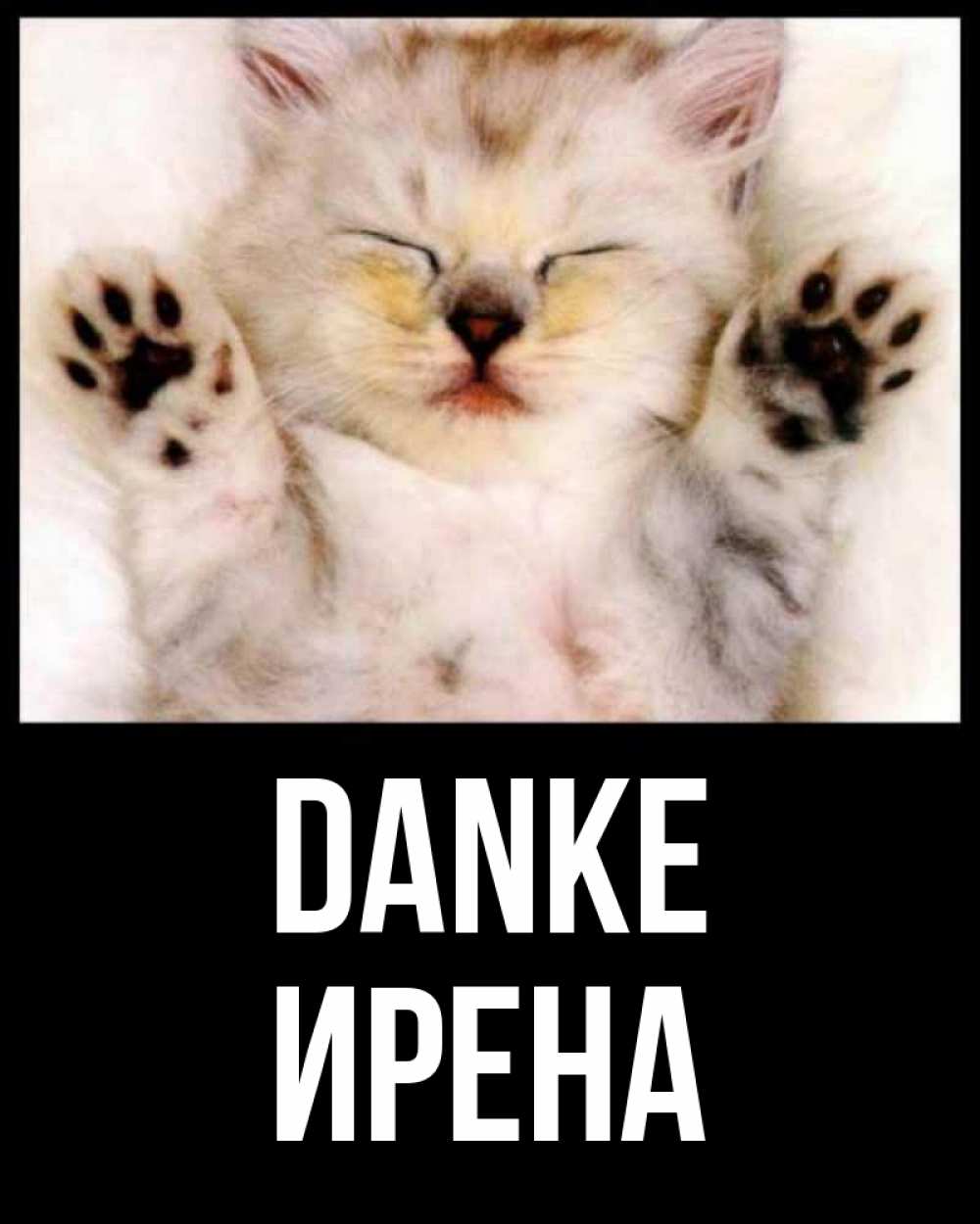 Открытка на каждый день с именем, Ирена Danke маленький котенок Прикольная открытка с пожеланием онлайн скачать бесплатно 