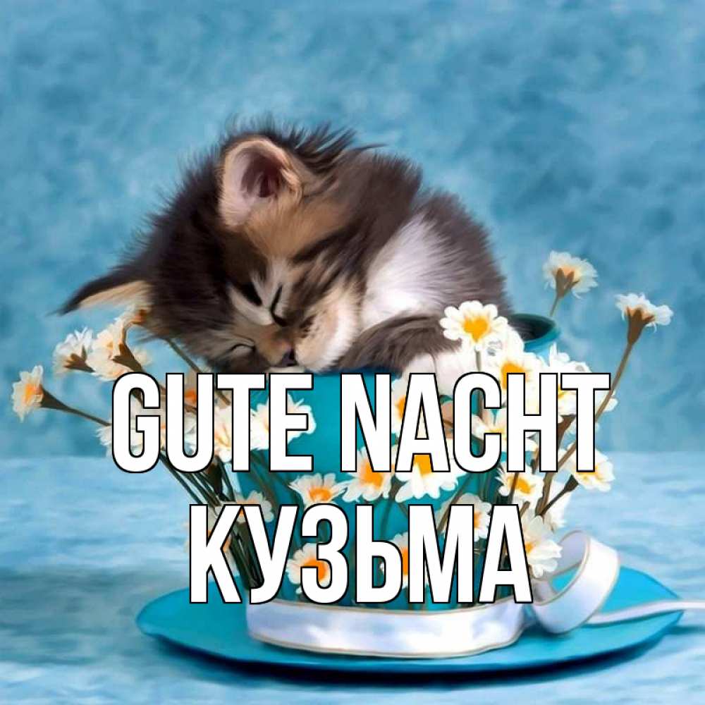 Открытка на каждый день с именем, Кузьма Gute Nacht котенок спит в кружке с блюдцем Прикольная открытка с пожеланием онлайн скачать бесплатно 