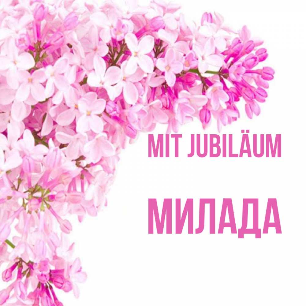 Открытка на каждый день с именем, Милада Mit Jubiläum Сирень на белом фоне Прикольная открытка с пожеланием онлайн скачать бесплатно 