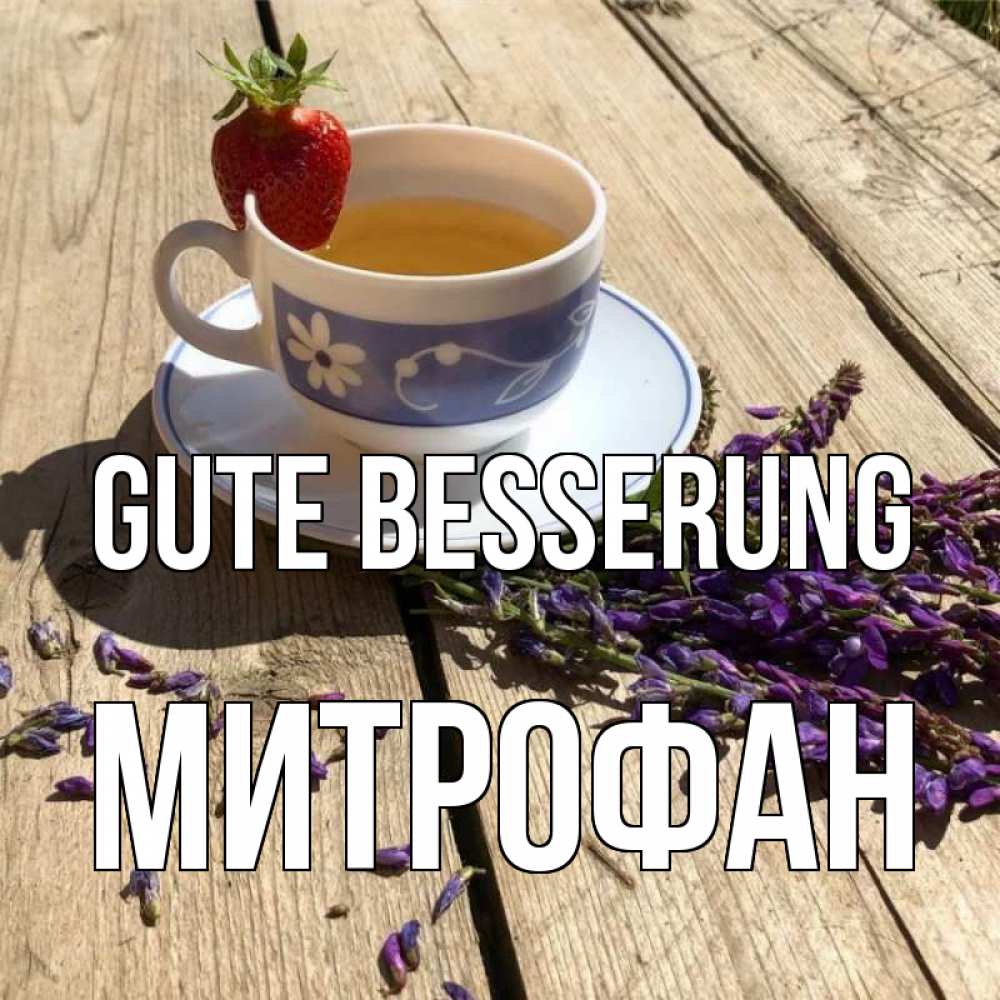 Открытка на каждый день с именем, Митрофан Gute Besserung чай Прикольная открытка с пожеланием онлайн скачать бесплатно 