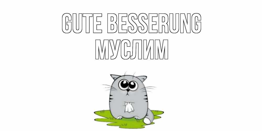 Открытка на каждый день с именем, Муслим Gute Besserung кот и открытки про выздоровление Прикольная открытка с пожеланием онлайн скачать бесплатно 