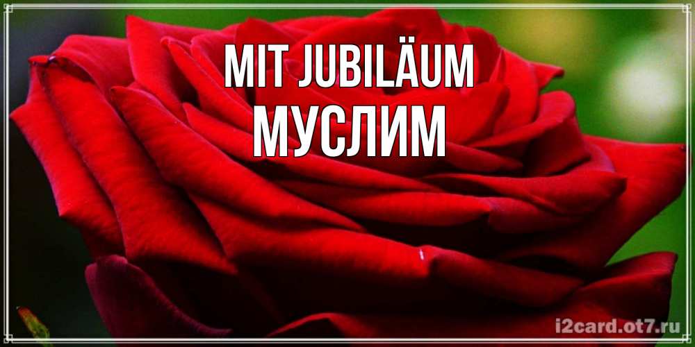 Открытка на каждый день с именем, Муслим Mit Jubiläum розочка очень красивая Прикольная открытка с пожеланием онлайн скачать бесплатно 
