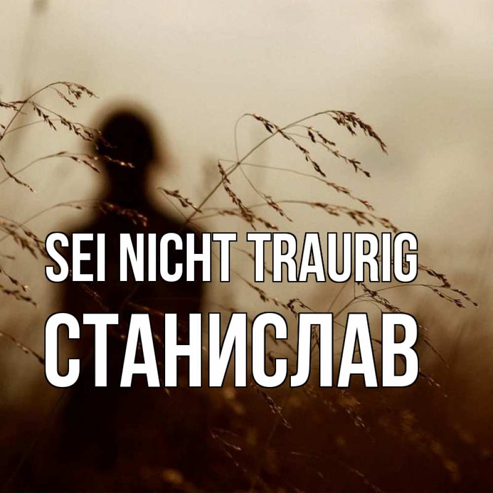 Открытка на каждый день с именем, Станислав Sei nicht traurig грусть Прикольная открытка с пожеланием онлайн скачать бесплатно 