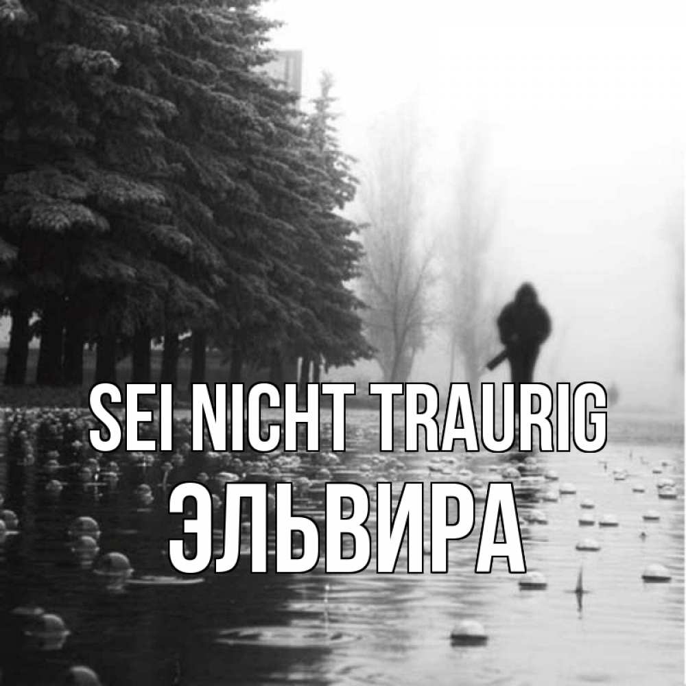 Открытка на каждый день с именем, Эльвира Sei nicht traurig улица под дождем Прикольная открытка с пожеланием онлайн скачать бесплатно 