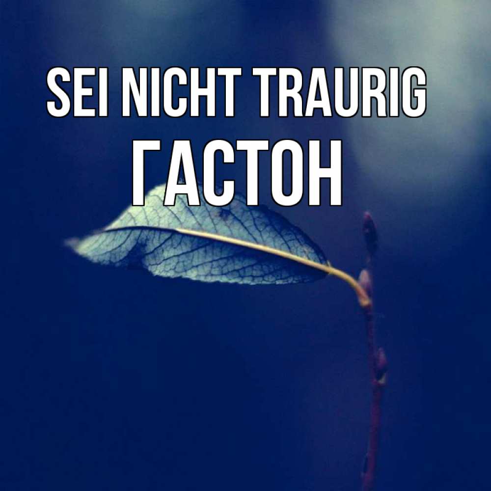 Открытка на каждый день с именем, Гастон Sei nicht traurig растение Прикольная открытка с пожеланием онлайн скачать бесплатно 