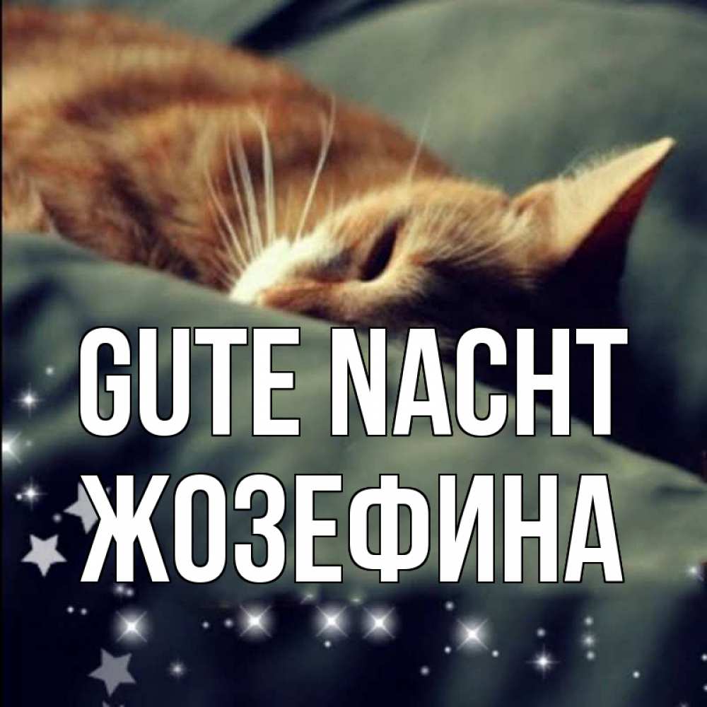 Открытка на каждый день с именем, Жозефина Gute Nacht кроватка Прикольная открытка с пожеланием онлайн скачать бесплатно 