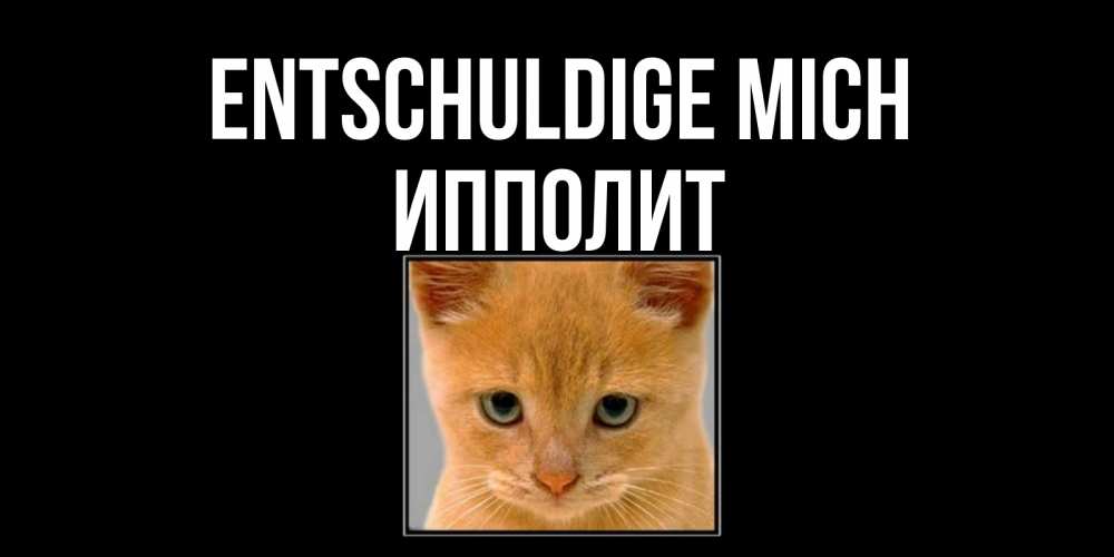 Открытка на каждый день с именем, Ипполит Entschuldige mich рыжий грустный кот просит прощения Прикольная открытка с пожеланием онлайн скачать бесплатно 