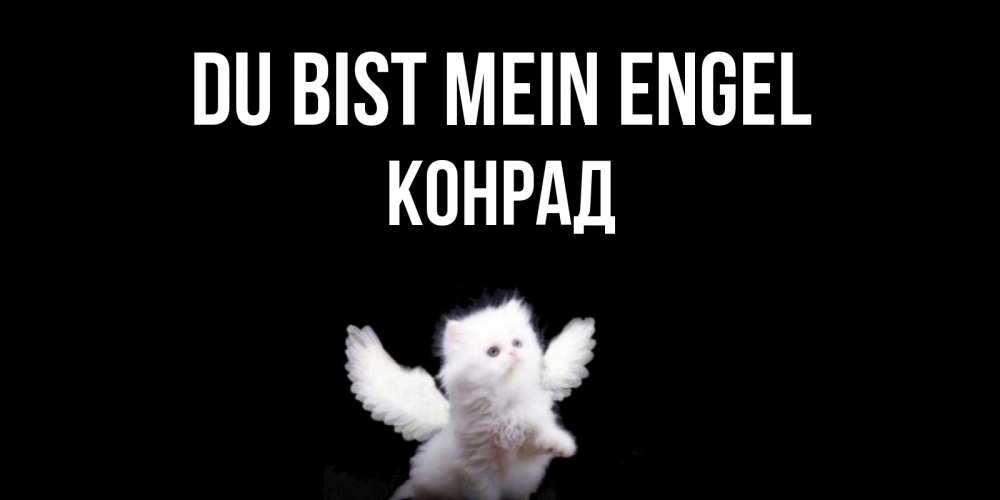 Открытка на каждый день с именем, Конрад Du bist mein Engel Кот ангел Прикольная открытка с пожеланием онлайн скачать бесплатно 