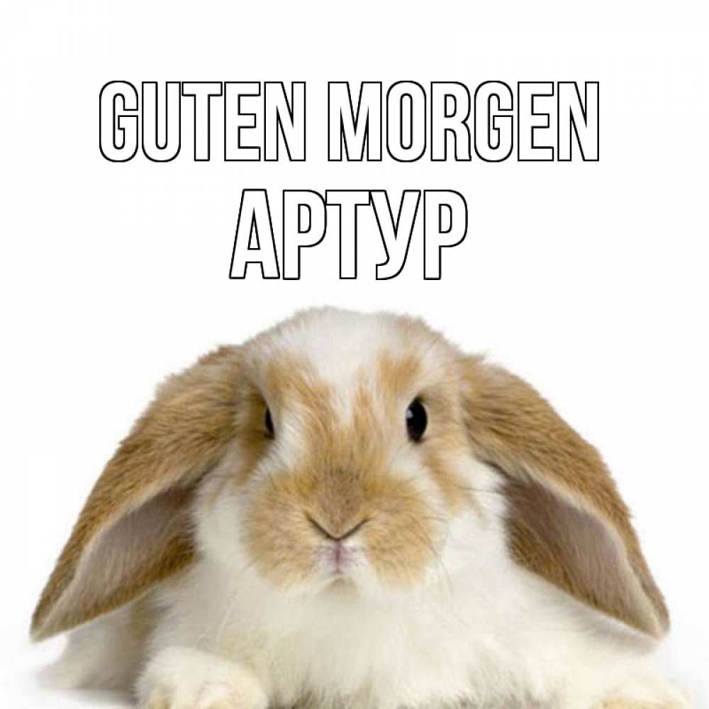 Открытка на каждый день с именем, Артур Guten Morgen прикольные открытки на каждый день Прикольная открытка с пожеланием онлайн скачать бесплатно 