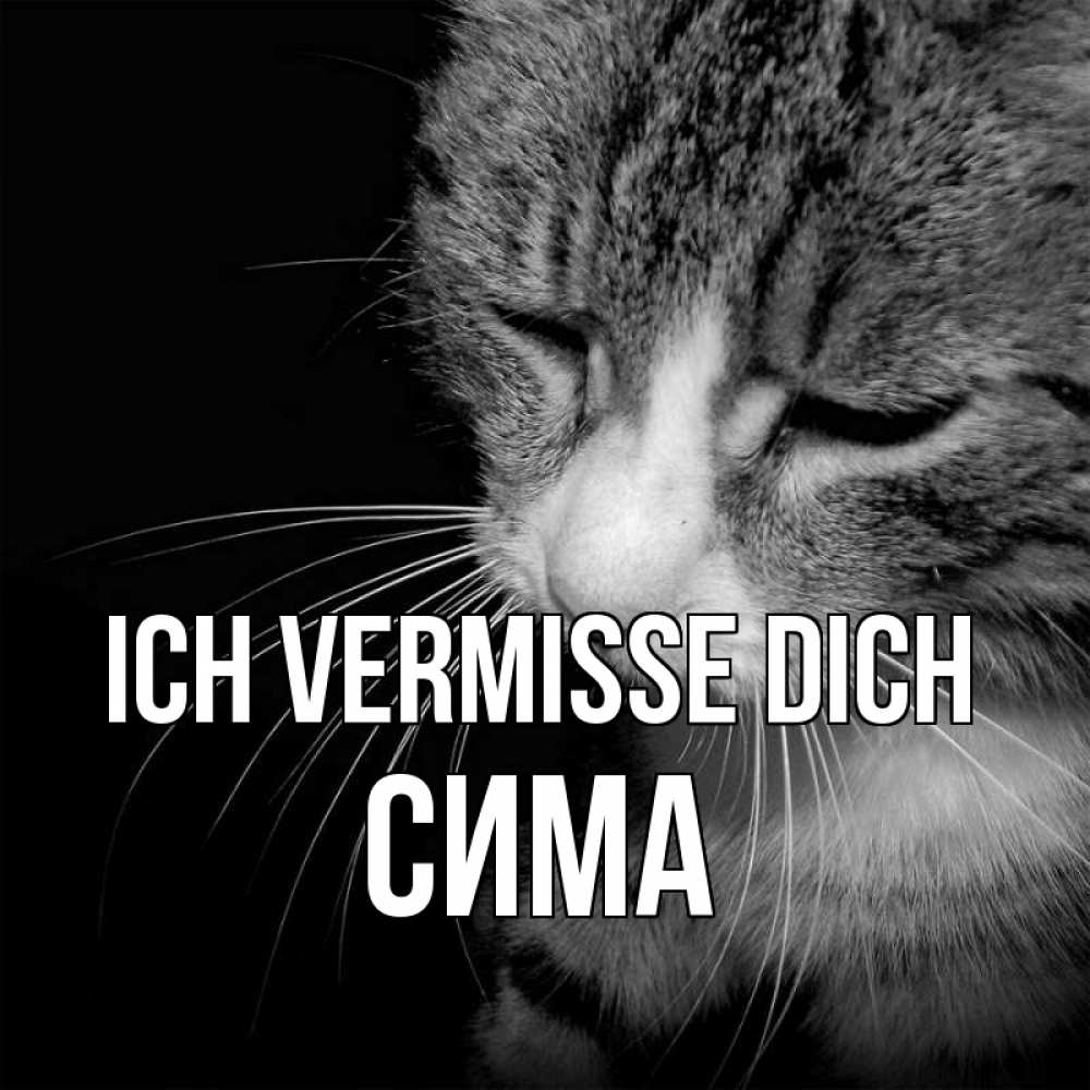 Открытка на каждый день с именем, Сима Ich vermisse dich мне скучно Прикольная открытка с пожеланием онлайн скачать бесплатно 