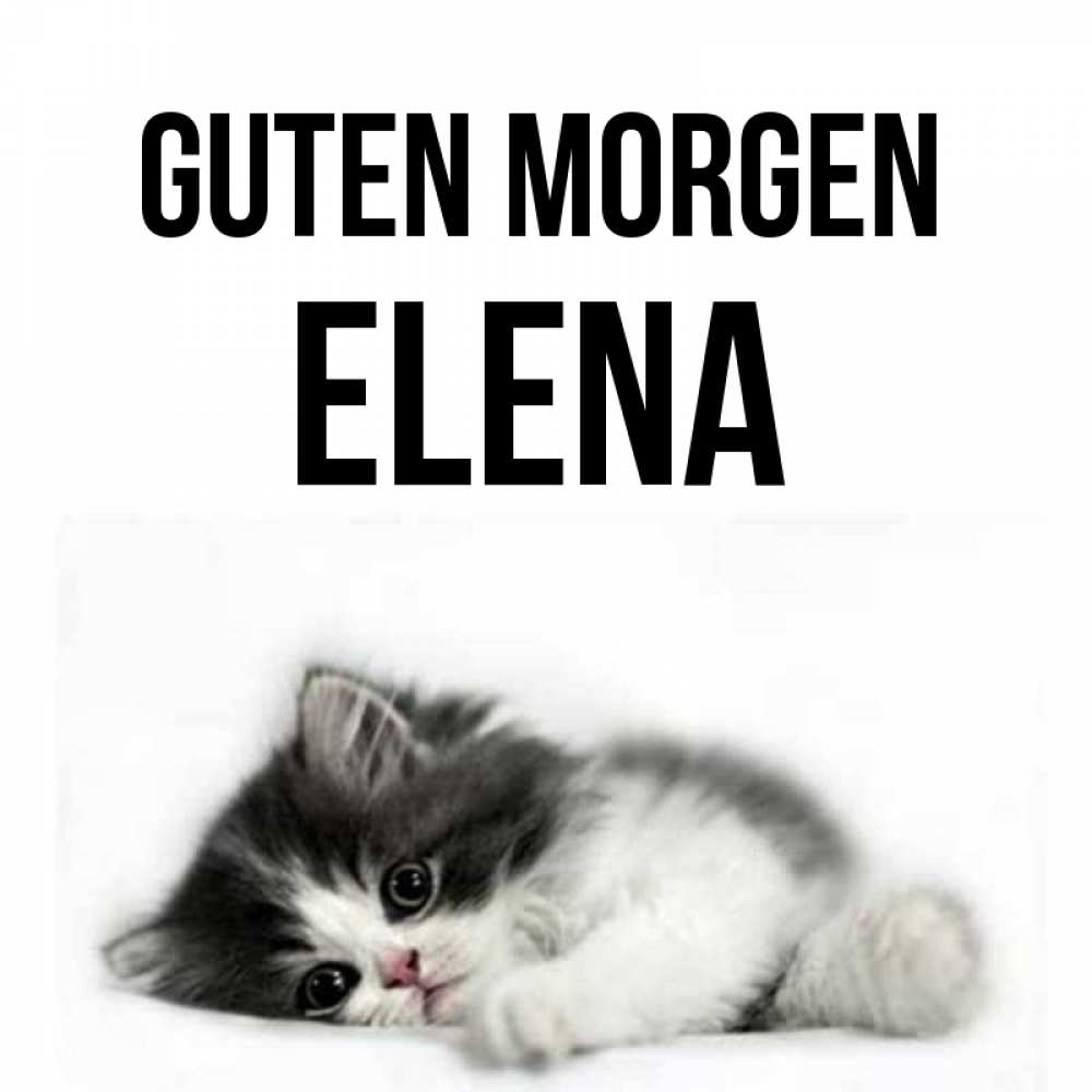 Открытка на каждый день с именем, Elena Guten Morgen кот лапки Прикольная открытка с пожеланием онлайн скачать бесплатно 