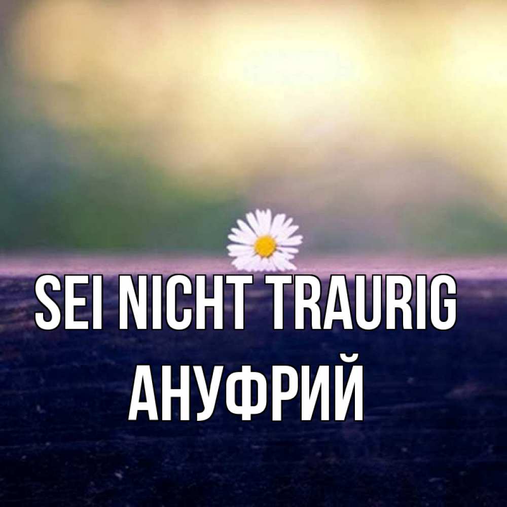 Открытка на каждый день с именем, Ануфрий Sei nicht traurig красота Прикольная открытка с пожеланием онлайн скачать бесплатно 