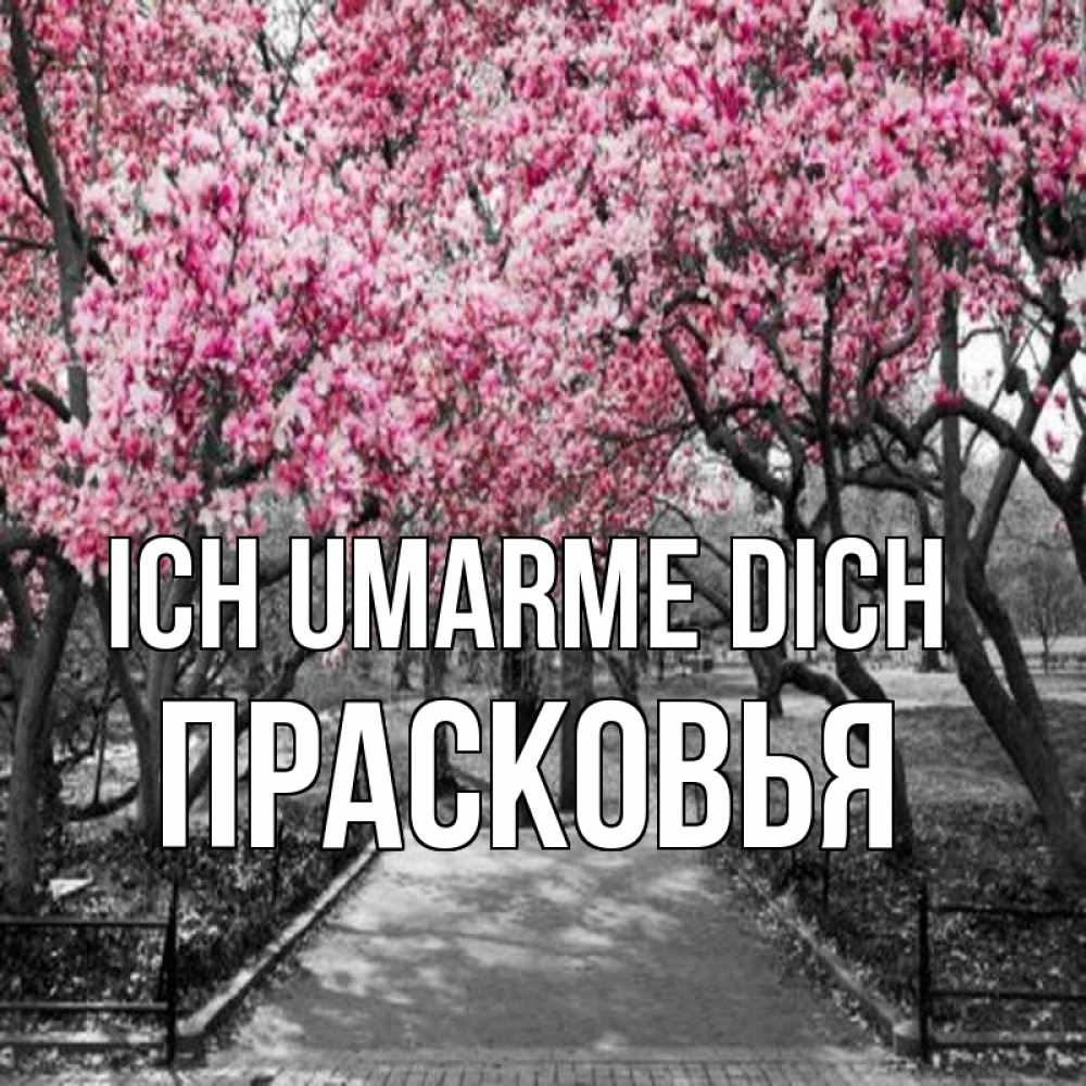 Открытка на каждый день с именем, Прасковья Ich umarme dich обработанное фото Прикольная открытка с пожеланием онлайн скачать бесплатно 