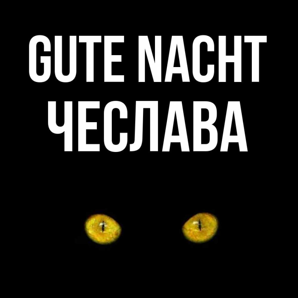 Открытка на каждый день с именем, Чеслава Gute Nacht сладких снов бесстрашный мой дружочек Прикольная открытка с пожеланием онлайн скачать бесплатно 