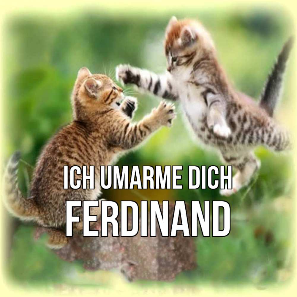 Открытка на каждый день с именем, Ferdinand Ich umarme dich игры котят Прикольная открытка с пожеланием онлайн скачать бесплатно 