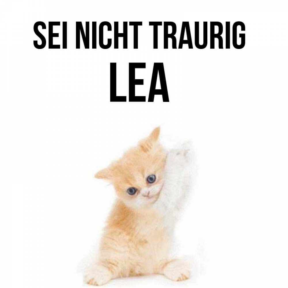 Открытка на каждый день с именем, Lea Sei nicht traurig просящий кот Прикольная открытка с пожеланием онлайн скачать бесплатно 