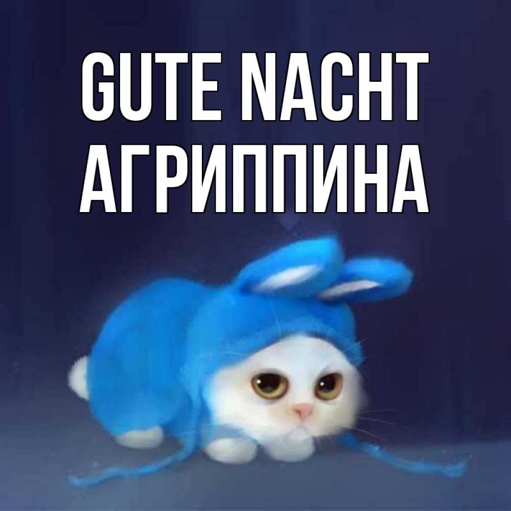 Открытка на каждый день с именем, Агриппина Gute Nacht кот в голубом костюме кролика с ушками Прикольная открытка с пожеланием онлайн скачать бесплатно 