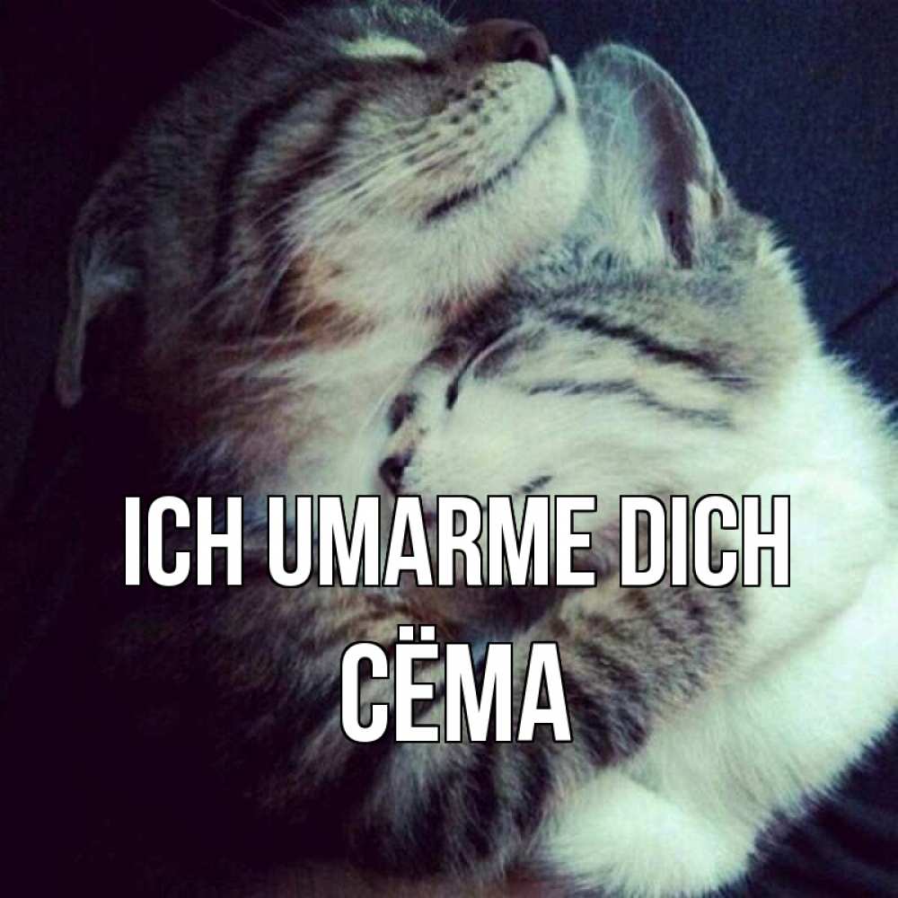 Открытка на каждый день с именем, Сёма Ich umarme dich полосатики Прикольная открытка с пожеланием онлайн скачать бесплатно 