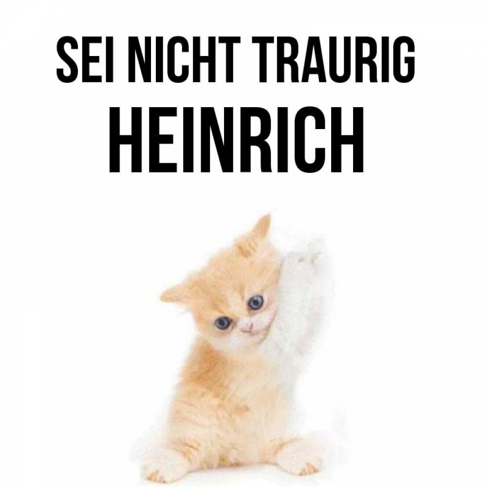 Открытка на каждый день с именем, Heinrich Sei nicht traurig просящий кот Прикольная открытка с пожеланием онлайн скачать бесплатно 
