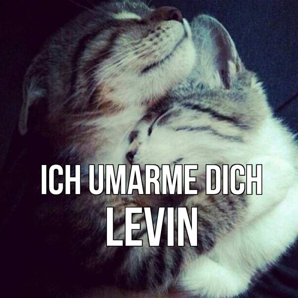 Открытка на каждый день с именем, Levin Ich umarme dich полосатики Прикольная открытка с пожеланием онлайн скачать бесплатно 