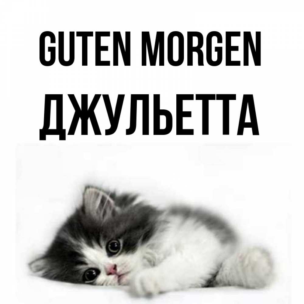 Открытка на каждый день с именем, Джульетта Guten Morgen кот лапки Прикольная открытка с пожеланием онлайн скачать бесплатно 