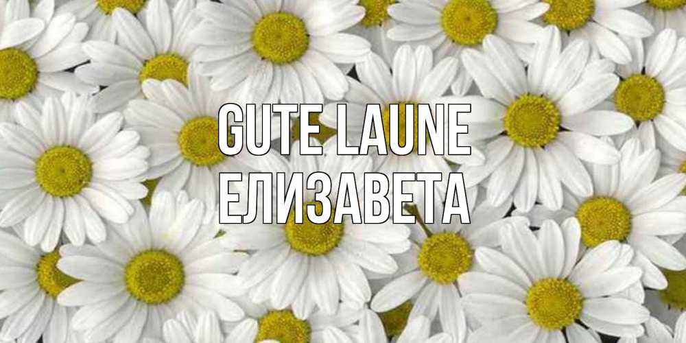 Открытка на каждый день с именем, Елизавета Gute Laune поляна ромашек Прикольная открытка с пожеланием онлайн скачать бесплатно 
