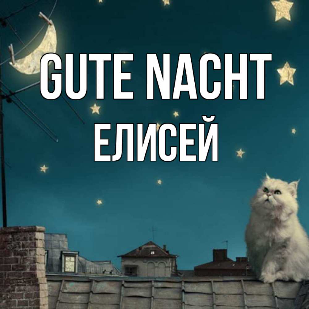 Открытка на каждый день с именем, Елисей Gute Nacht белый кот сидит на крыше Прикольная открытка с пожеланием онлайн скачать бесплатно 