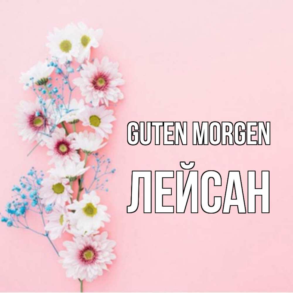 Открытка на каждый день с именем, Лейсан Guten Morgen цветы с подписью Прикольная открытка с пожеланием онлайн скачать бесплатно 
