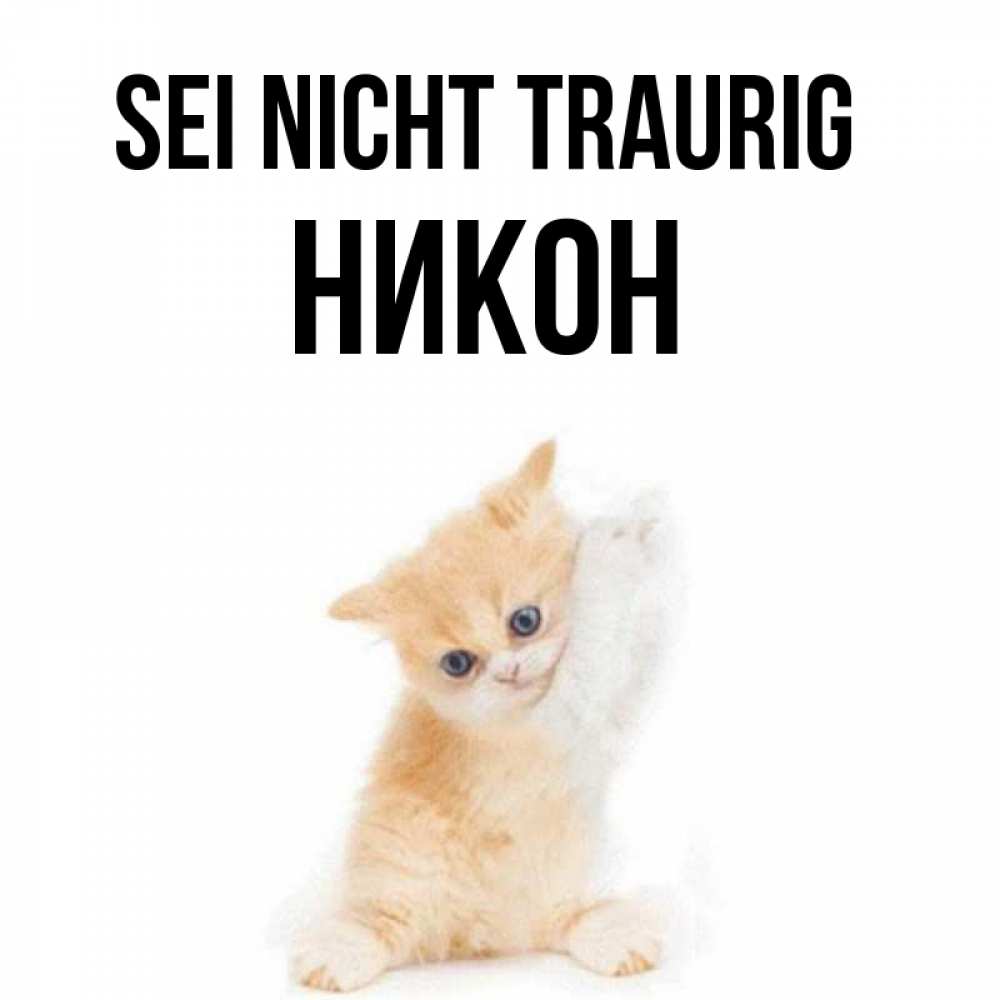Открытка на каждый день с именем, Никон Sei nicht traurig просящий кот Прикольная открытка с пожеланием онлайн скачать бесплатно 