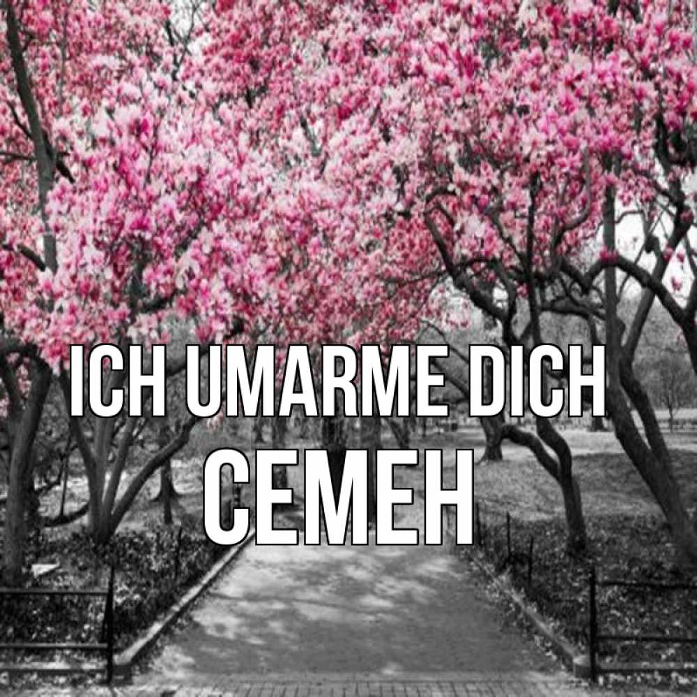 Открытка на каждый день с именем, Семен Ich umarme dich обработанное фото Прикольная открытка с пожеланием онлайн скачать бесплатно 