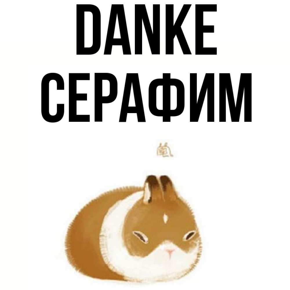 Открытка на каждый день с именем, Серафим Danke коричнево белый домашний питомец Прикольная открытка с пожеланием онлайн скачать бесплатно 